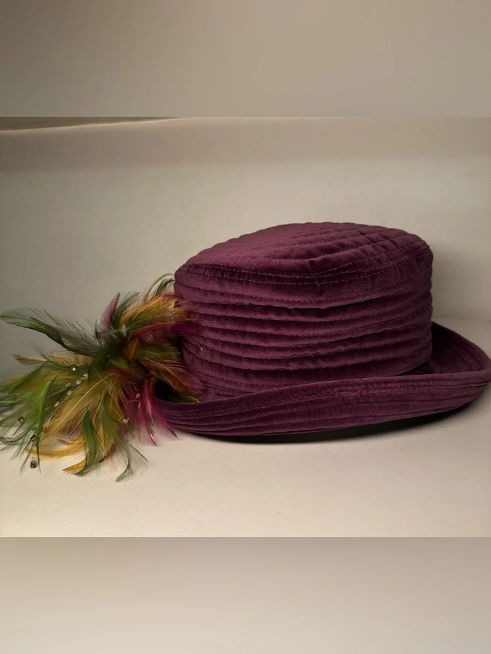 Plum Velvet Women's Hat with Feather Trim